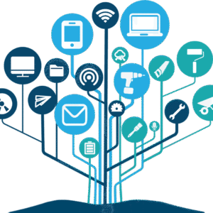 Additional Half Hour